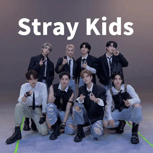 Stray kids - Palang ‐ KpopFashionStore